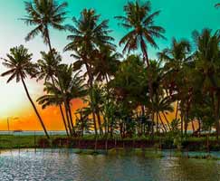 Cochin Holiday Package