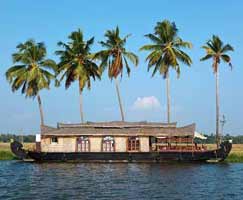 Cochin Tourism Package