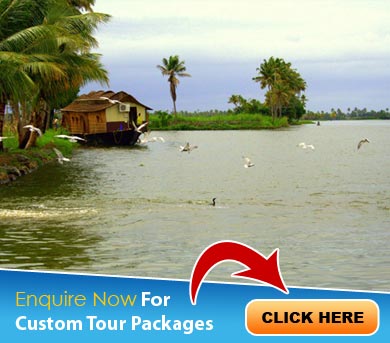 Cochin Tour Packages