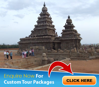 Cochin Tour Packages